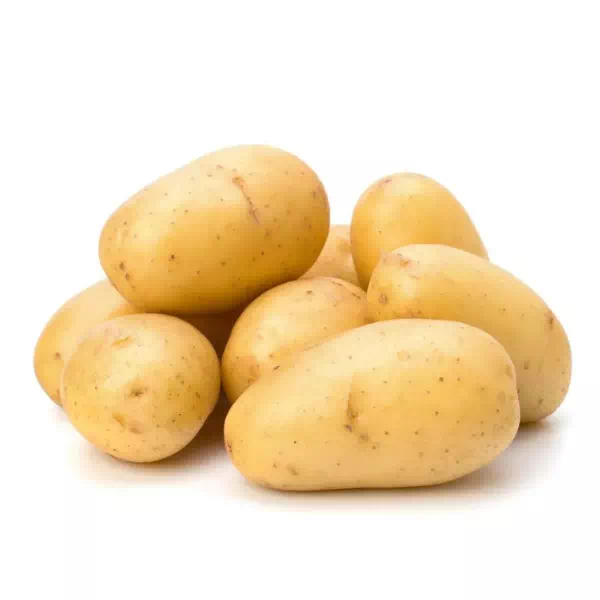 Pomme de terre blanche